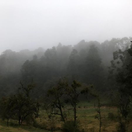 Cabana Romantica En El Bosque! Acaxochitlán 外观 照片