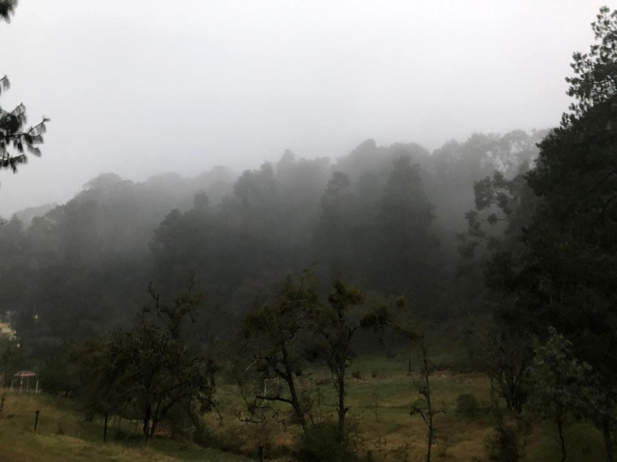 Cabana Romantica En El Bosque! Acaxochitlán 外观 照片